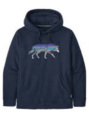 Patagonia Navy Hoodie with Color-Strip Wolf Graphic